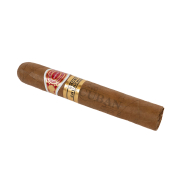 Humidors Boveda (10 Box)