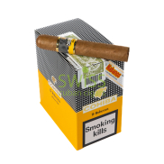 Cohiba Robustos
