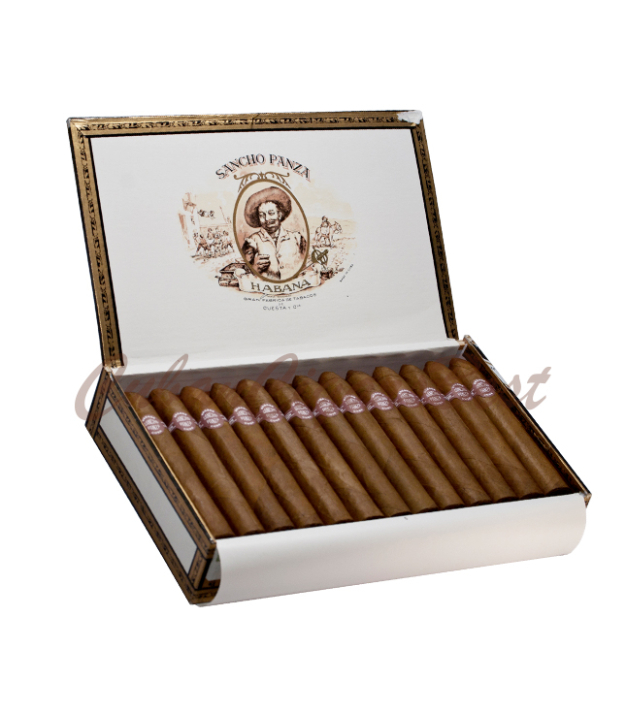 Sancho Panza Belicosos