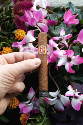 cigar01
